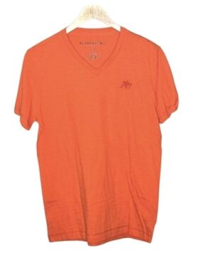Aeropostale V-neck Tee